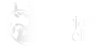 Dejaste Huella